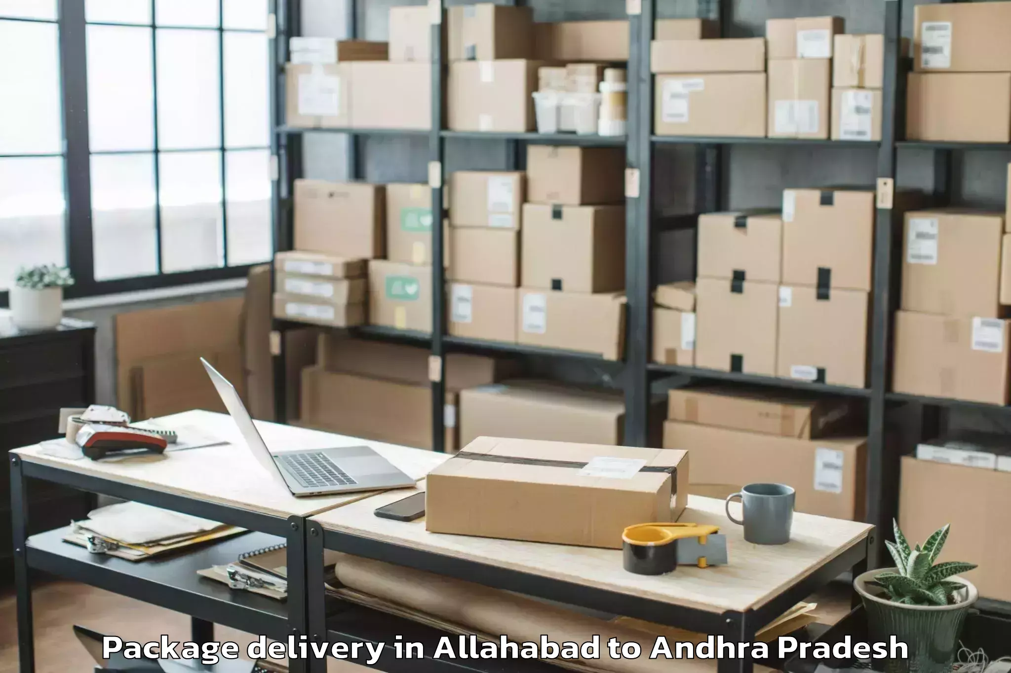 Quality Allahabad to Pedda Nakkalapalem Package Delivery